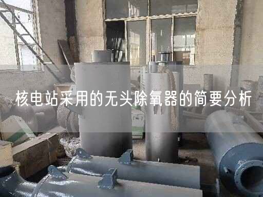 核電站采用的無頭除氧器的簡要分析