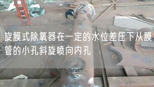 旋膜式除氧器在一定的水位差壓下從膜管的小孔斜旋噴向內孔